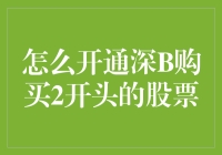 如何开通深B户购买2开头的股票：一份深度走心的指南