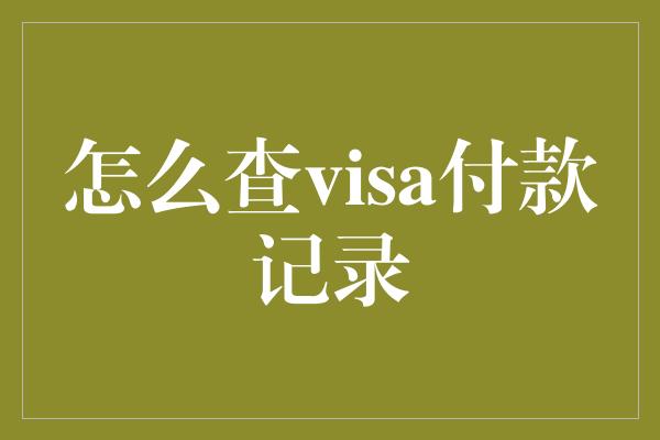 怎么查visa付款记录