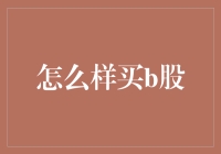 如何从新手到高手：一步步购买B股市场投资指南