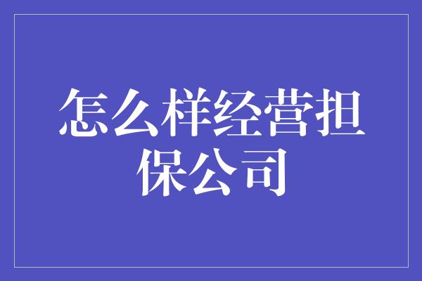 怎么样经营担保公司