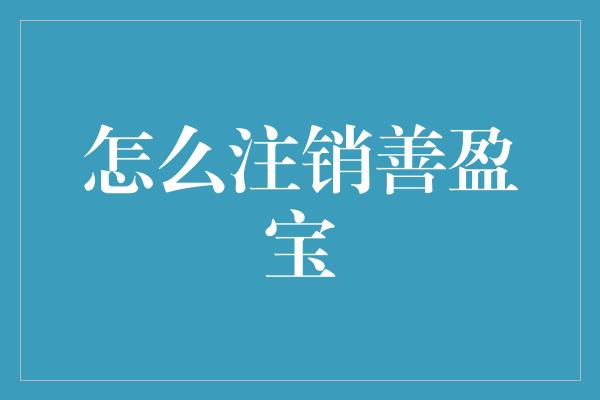 怎么注销善盈宝