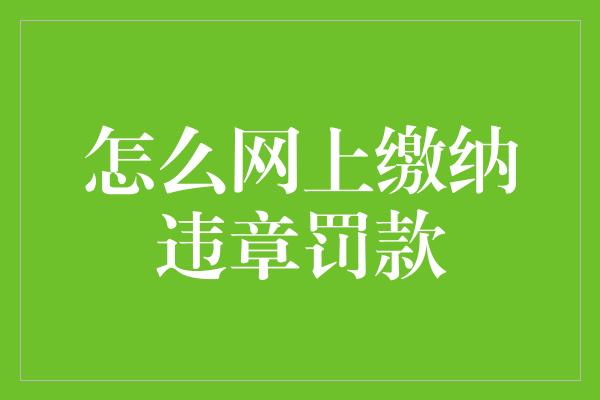 怎么网上缴纳违章罚款