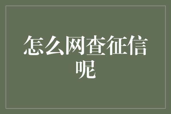 怎么网查征信呢