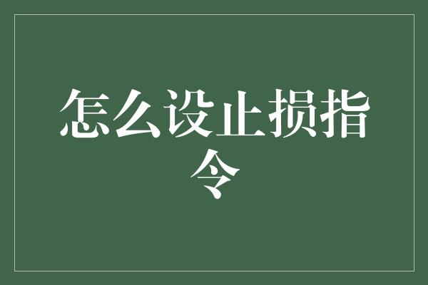 怎么设止损指令