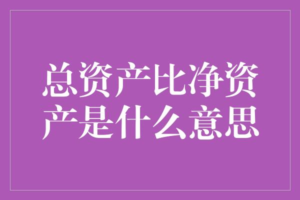 总资产比净资产是什么意思