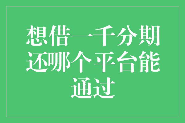 想借一千分期还哪个平台能通过