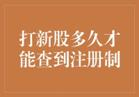 打新股要等多久才能查到？注册制下的投资新挑战！