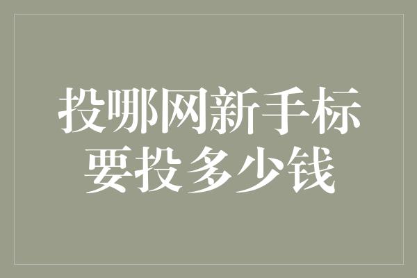 投哪网新手标要投多少钱