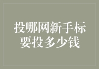 投哪网新手标投多少钱？看看这里就知道了！