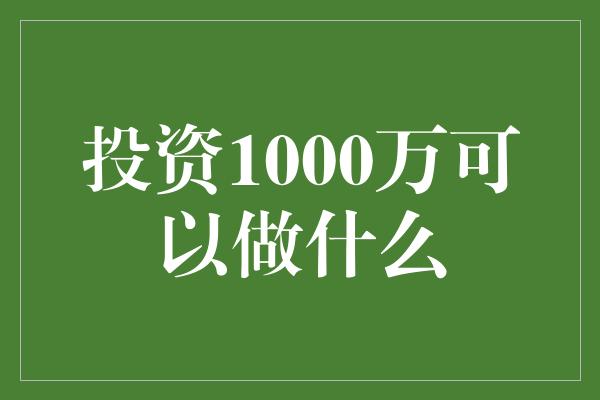 投资1000万可以做什么