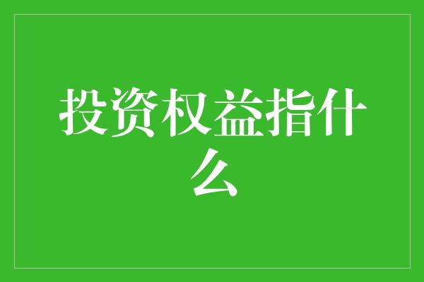 投资权益指什么