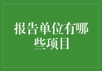 报告单位的日常：揭开那些令人啼笑皆非的小项目