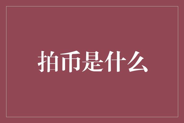 拍币是什么