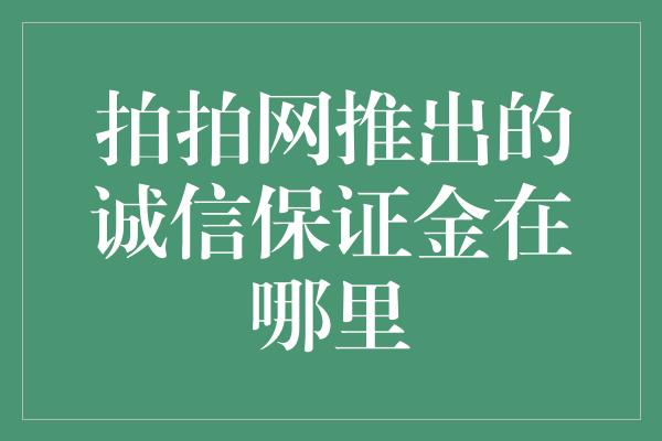 拍拍网推出的诚信保证金在哪里