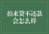 拍来贷不还款：一场与时间赛跑的冒险游戏