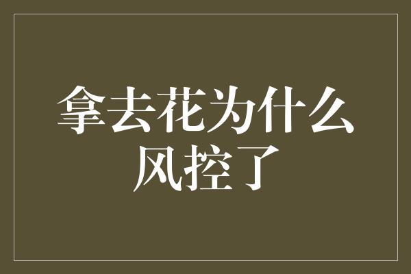 拿去花为什么风控了