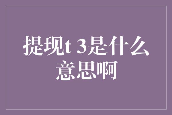 提现t 3是什么意思啊