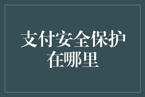 支付安全保护在哪里