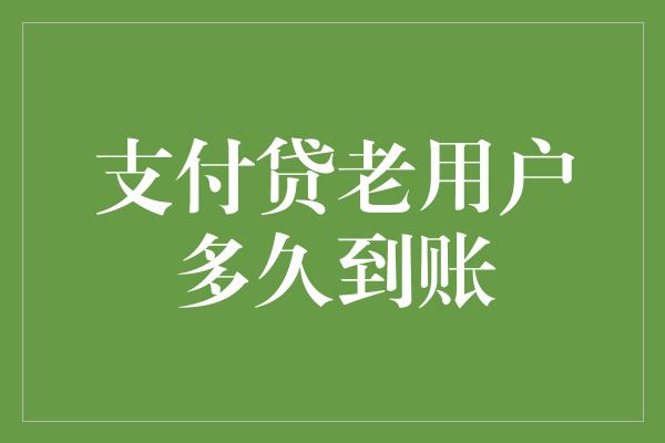 支付贷老用户多久到账