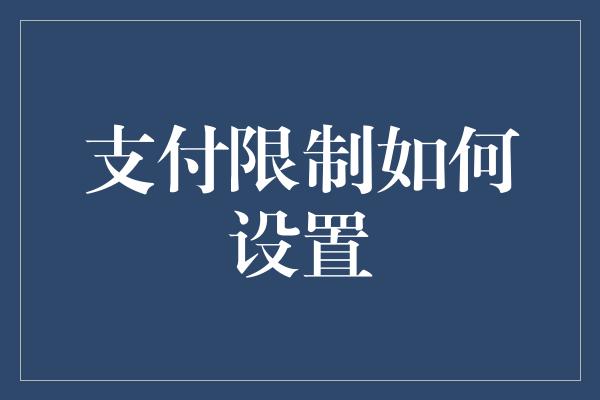 支付限制如何设置