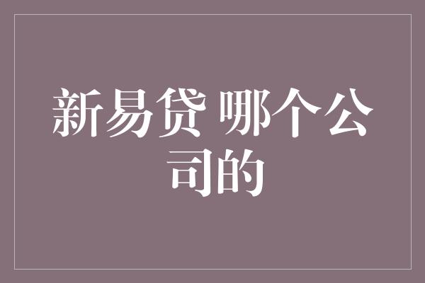 新易贷 哪个公司的