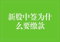 股票打新缴款：理解新股中签背后的意义