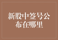 新股中签号公布在哪里？投资者如何查询中签结果？