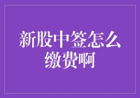 新股中签后的缴款流程详解：如何确保顺利缴费？