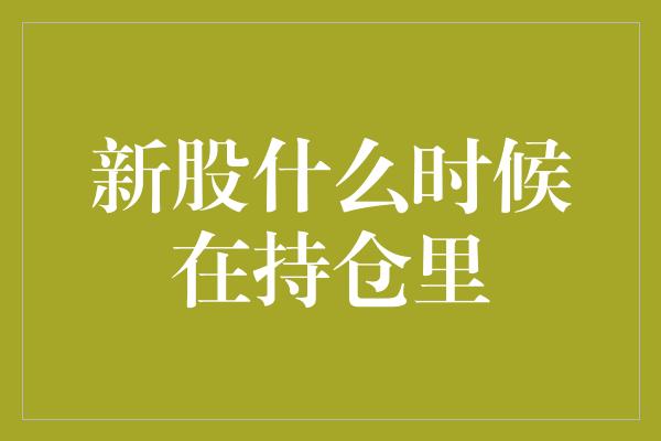 新股什么时候在持仓里