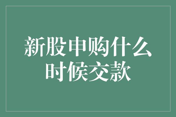 新股申购什么时候交款