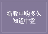 新股申购的中签幸运儿选拔指南：从摇号到中签的奇妙之旅