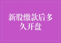 新股缴款后多久开盘？——揭秘新股申购与上市流程