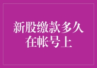 新股缴款最新变化：投资者如何在账户上准确追踪缴款动态