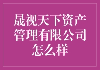 晟视天下资产管理有限公司：引领未来投资风向的资产管理专家