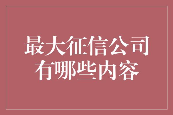 最大征信公司有哪些内容