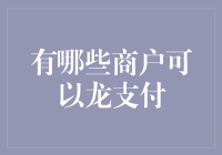 龙支付：如何拓展商户范围以满足消费者需求？