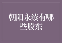 朝阳永续的股东们，来自五湖四海的亲戚