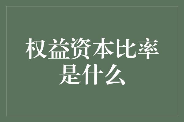 权益资本比率是什么