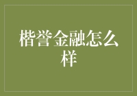 楷誉金融：金融科技领域的创新引领者