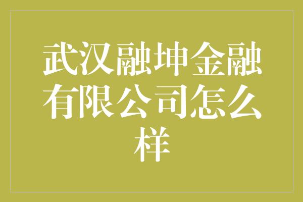 武汉融坤金融有限公司怎么样