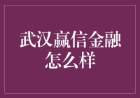 武汉赢信金融：一场投资界的闹剧？