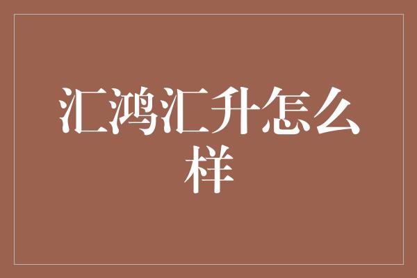 汇鸿汇升怎么样