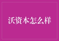 沃资本：私募股权投资的新星