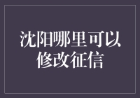 沈阳哪里可以修改征信记录？专业咨询服务推荐