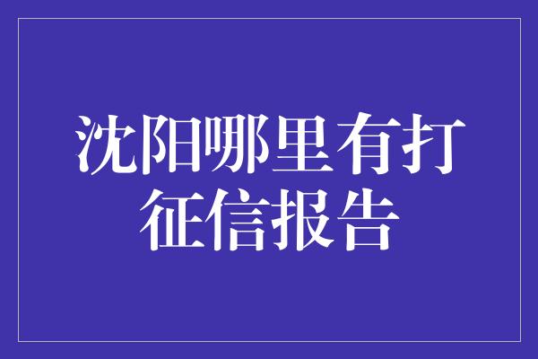 沈阳哪里有打征信报告