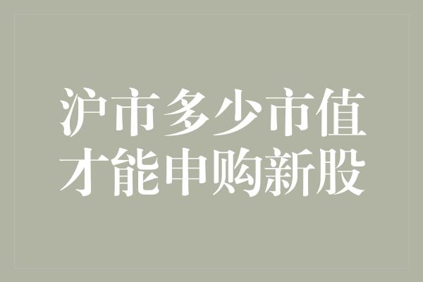 沪市多少市值才能申购新股