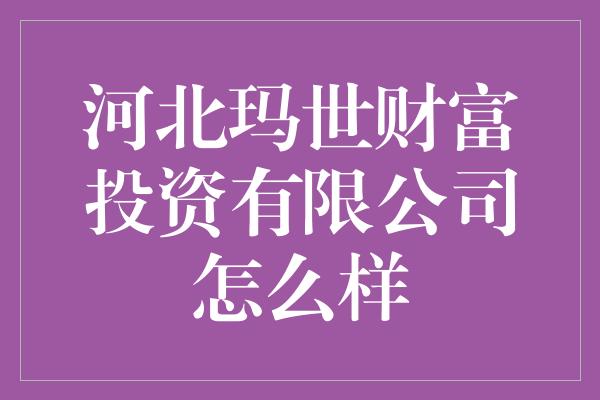 河北玛世财富投资有限公司怎么样