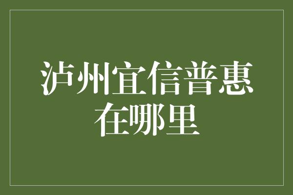 泸州宜信普惠在哪里