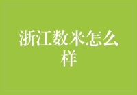 浙江数米：数字化浪潮下的金融革新者