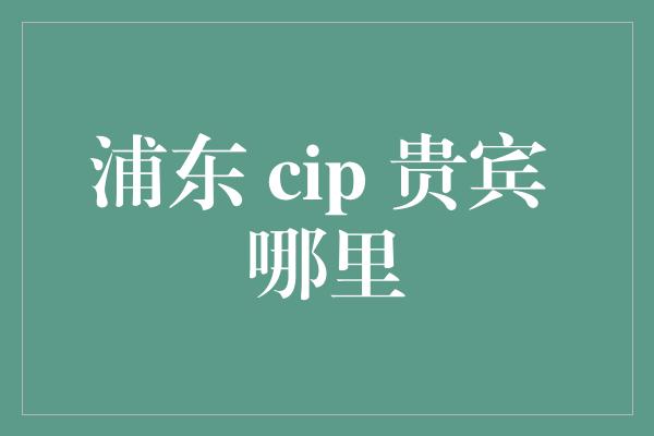 浦东 cip 贵宾 哪里